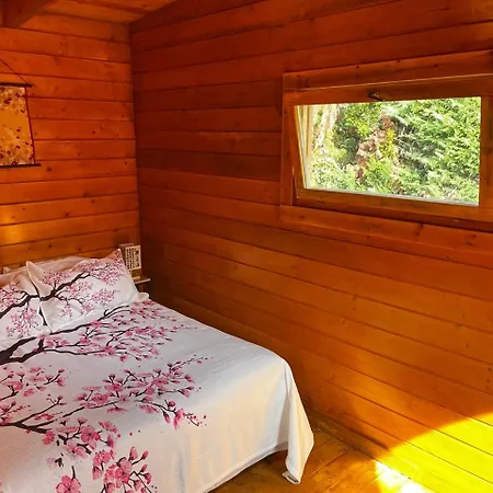 Appartamento Au Soleil Ocre Avignone Esterno foto
