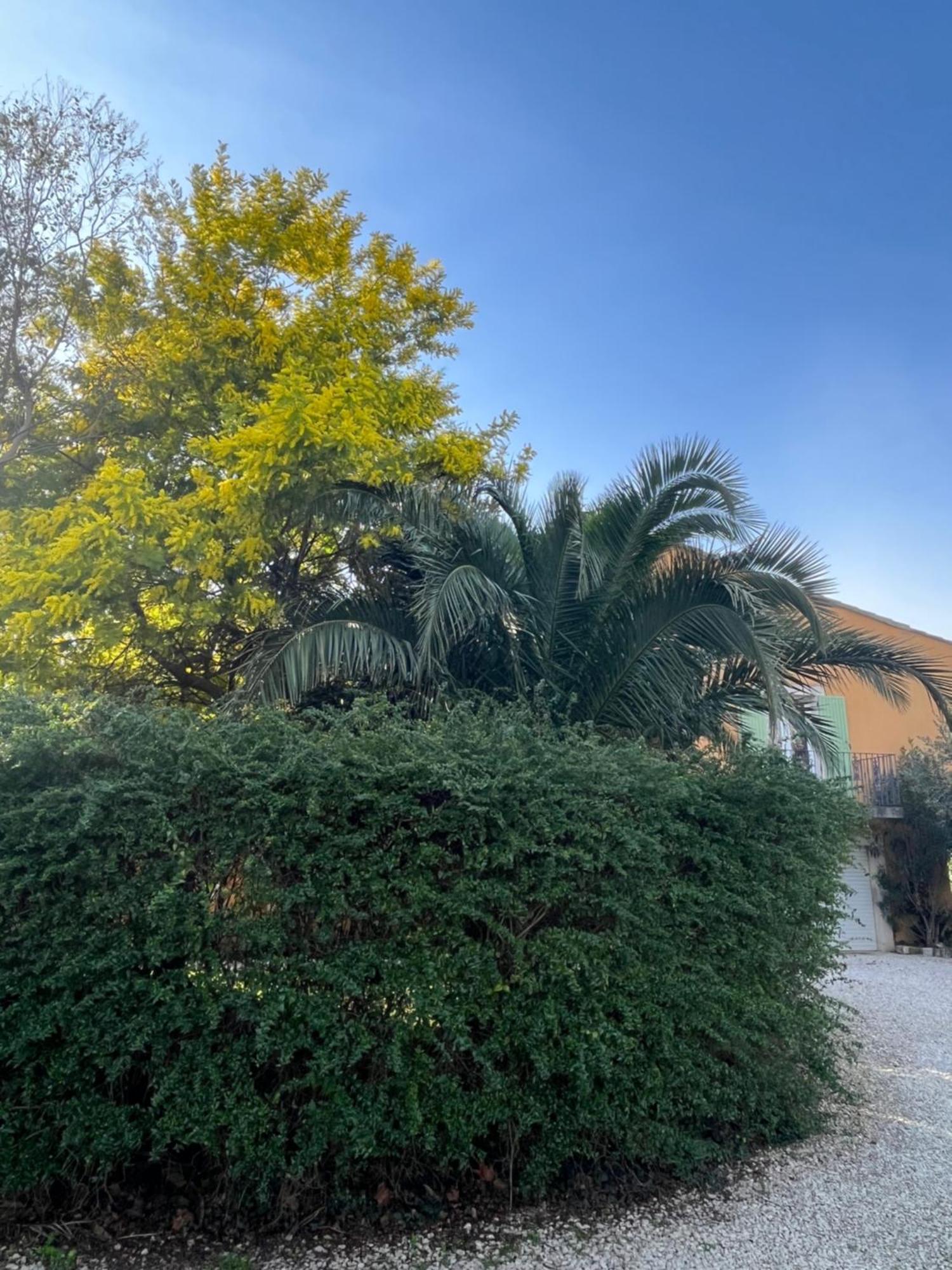 Au Soleil Ocre Apartment